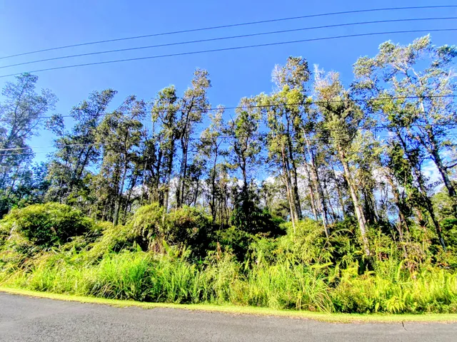 $35,000 | 65 Kahukai Street, Pahoa, HI 96778