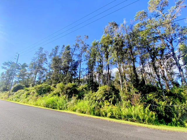$35,000 | 65 Kahukai Street, Pahoa, HI 96778