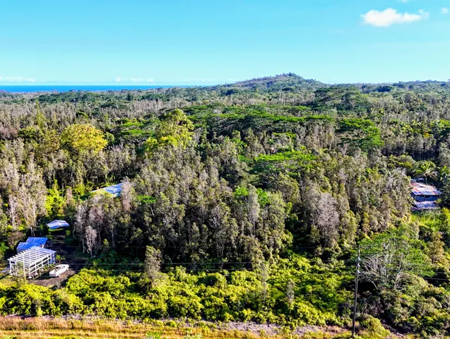 $35,000 | 65 Kahukai Street, Pahoa, HI 96778