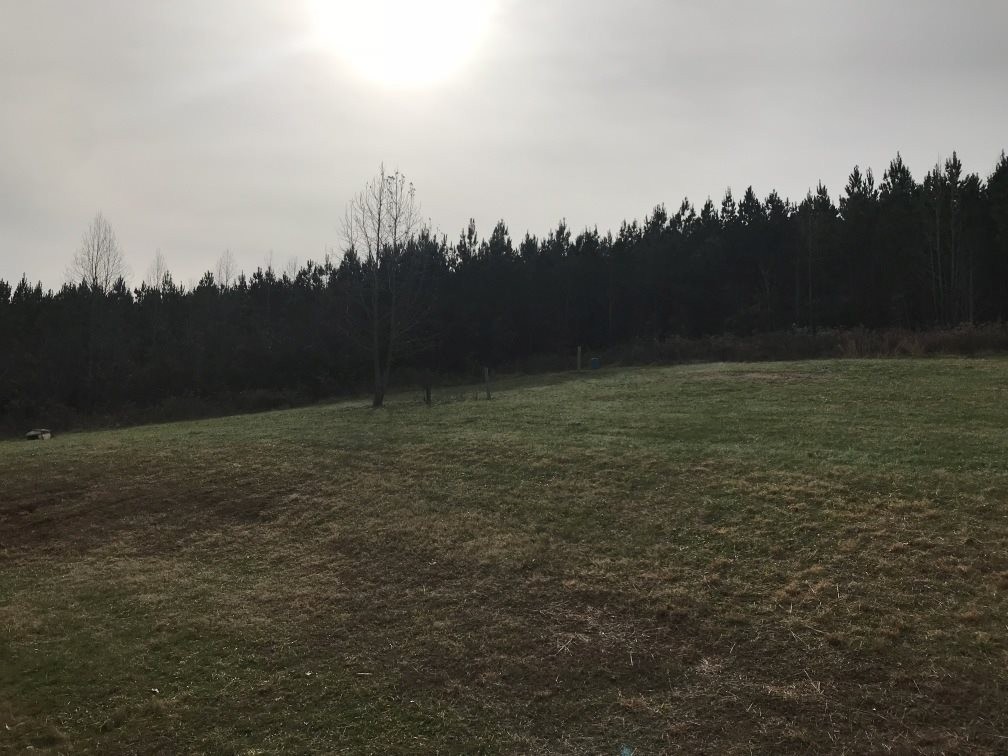 157 Buckner Road Philadelphia, TN 37846 - Photo 28 of 30 a view of a field