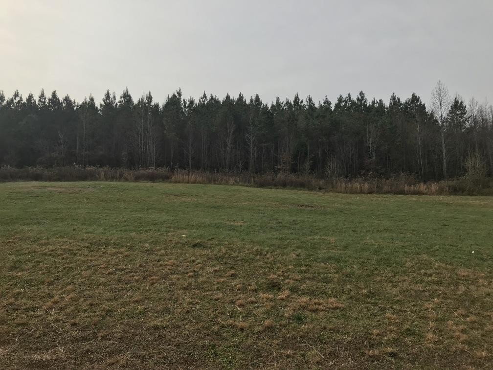 157 Buckner Road Philadelphia, TN 37846 - Photo 29 of 30 a view of a field