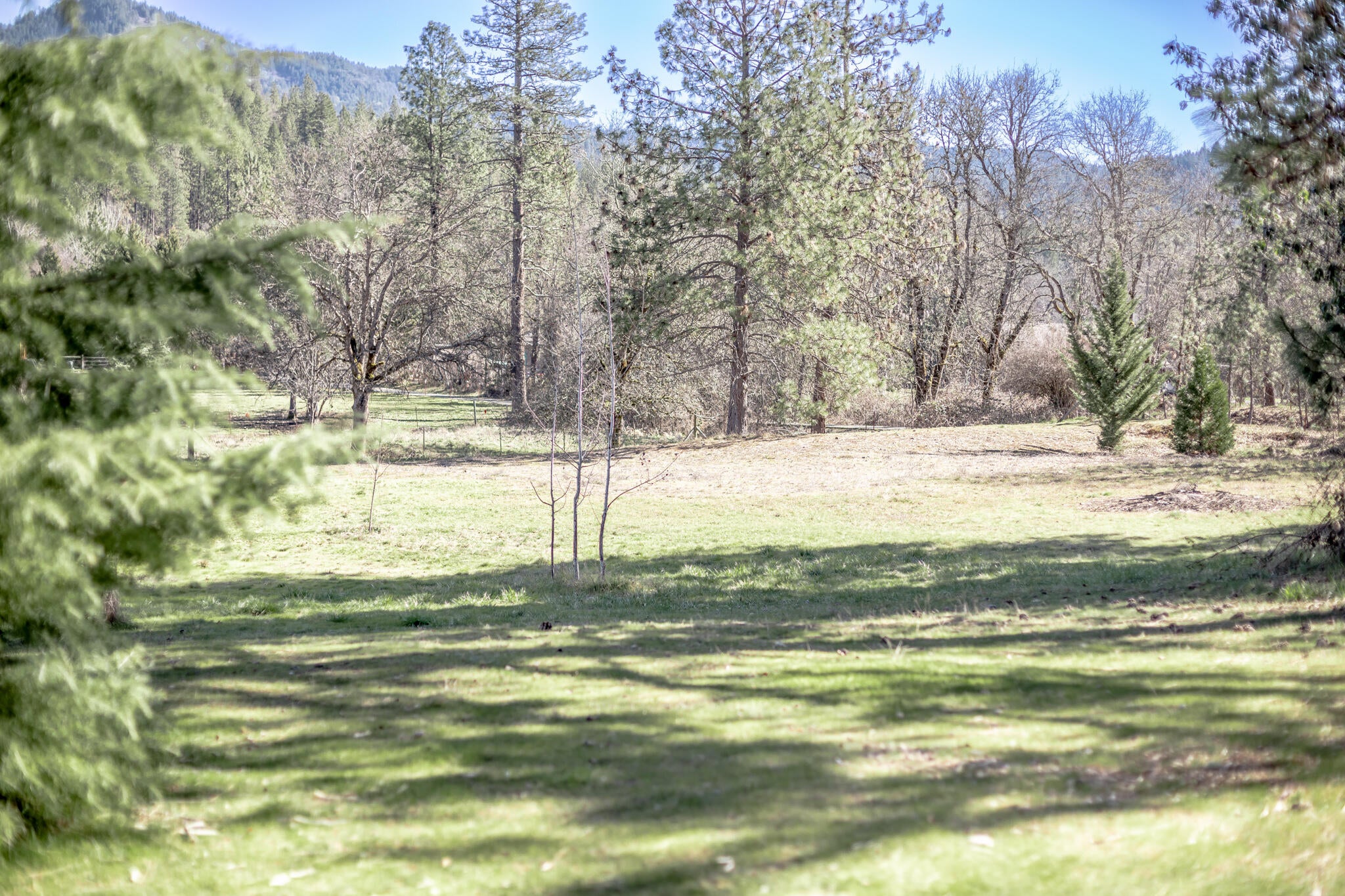 2074 Pine Grove Road Rogue River, OR 97537 - Photo 12 of 34 2H2A6559