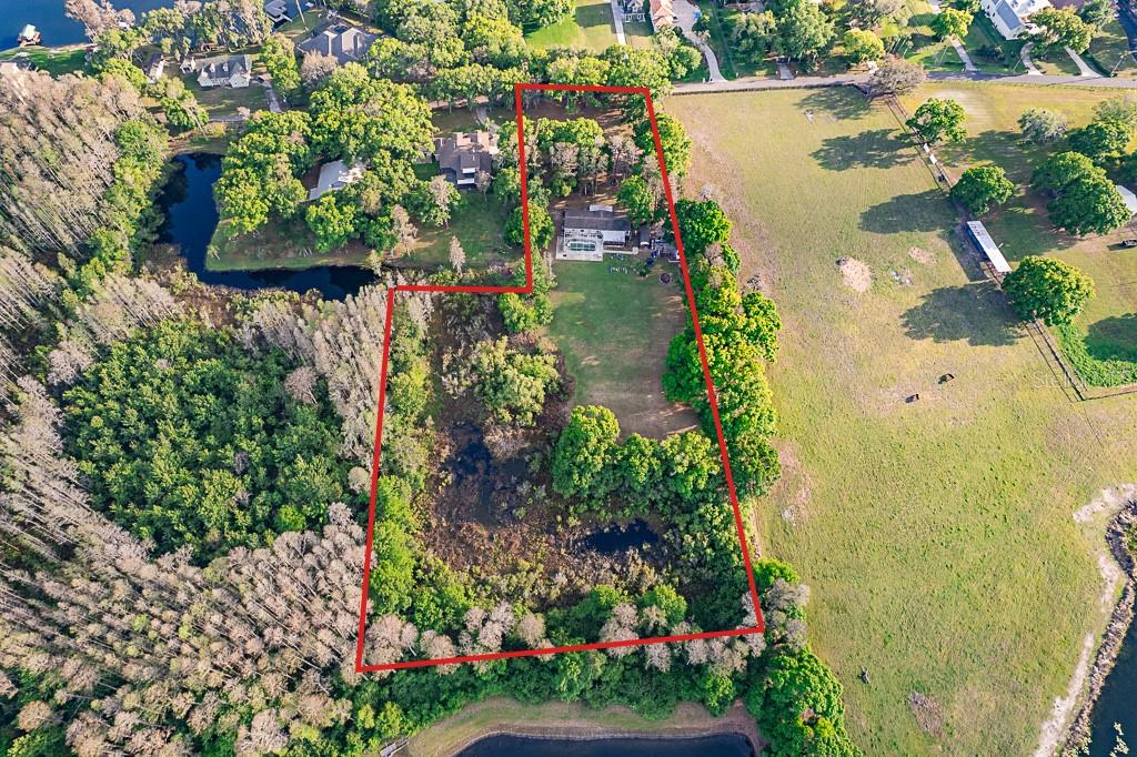 13815 Plainview Road Odessa, FL 33556 - Photo 12 of 34