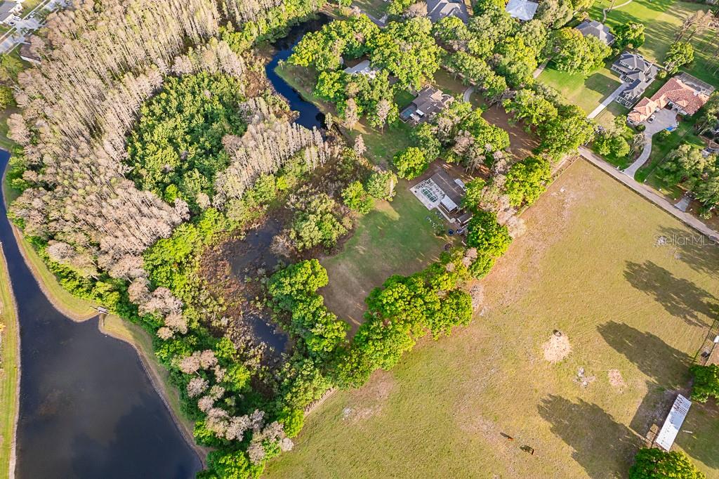 13815 Plainview Road Odessa, FL 33556 - Photo 13 of 34