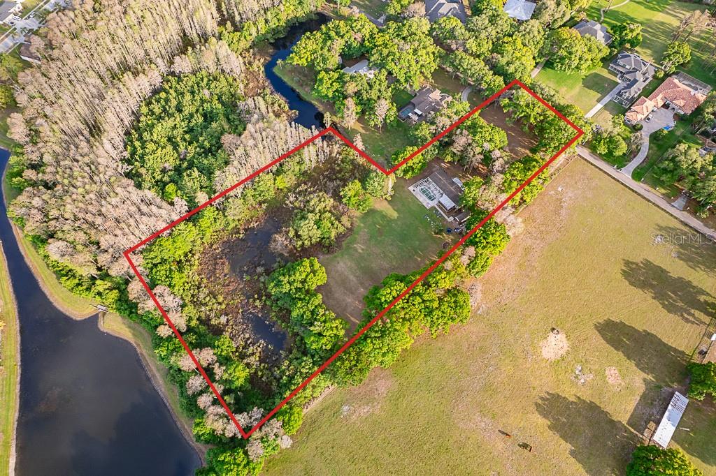 13815 Plainview Road Odessa, FL 33556 - Photo 14 of 34