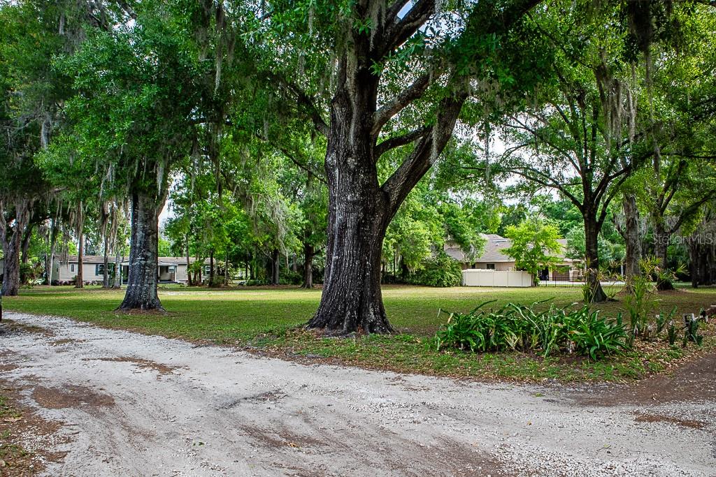 13815 Plainview Road Odessa, FL 33556 - Photo 19 of 34