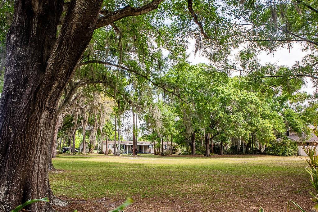 13815 Plainview Road Odessa, FL 33556 - Photo 23 of 34