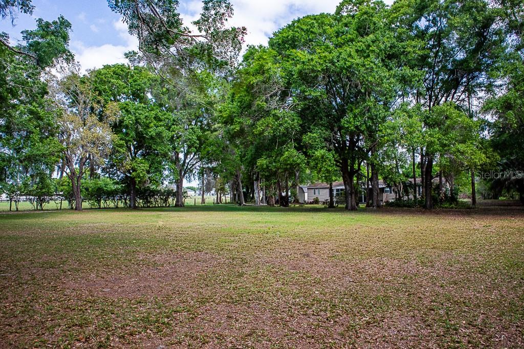 13815 Plainview Road Odessa, FL 33556 - Photo 25 of 34