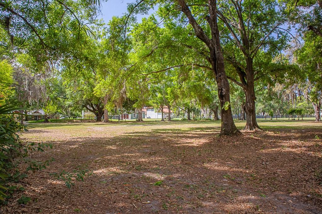 13815 Plainview Road Odessa, FL 33556 - Photo 27 of 34