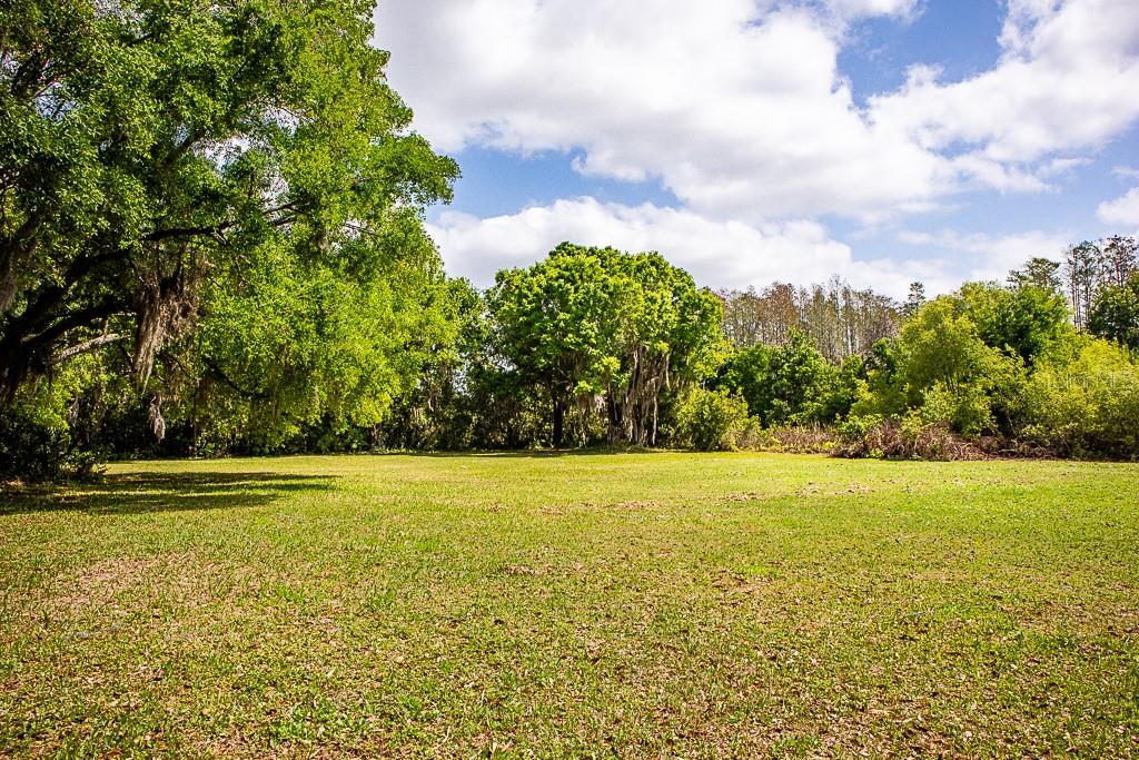 13815 Plainview Road Odessa, FL 33556 - Photo 28 of 34