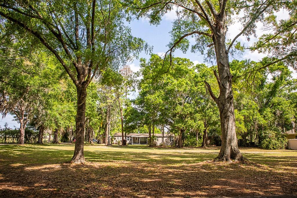 13815 Plainview Road Odessa, FL 33556 - Photo 33 of 34