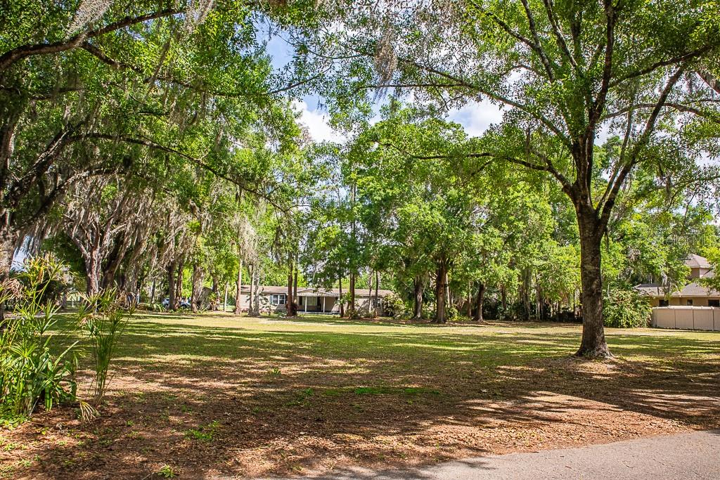 13815 Plainview Road Odessa, FL 33556 - Photo 34 of 34