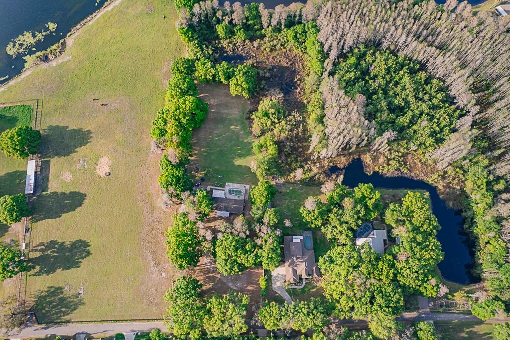 13815 Plainview Road Odessa, FL 33556 - Photo 6 of 34