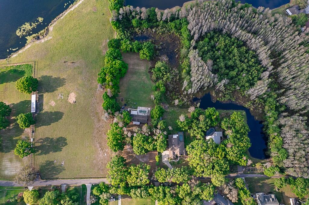 13815 Plainview Road Odessa, FL 33556 - Photo 7 of 34
