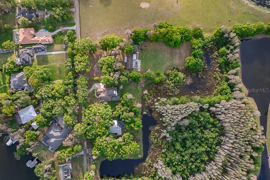 13815 Plainview Road Odessa, FL 33556 - Photo 8 of 34