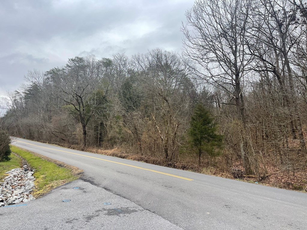 0 Kerr Road Sevierville, TN 37876 - Photo 3 of 4 Gallery Image 3