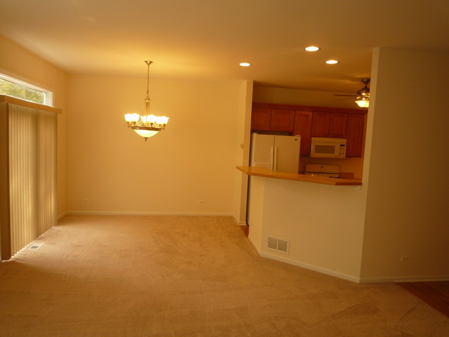 240 Ridge Road North Aurora, IL 60542 - Photo 3 of 22