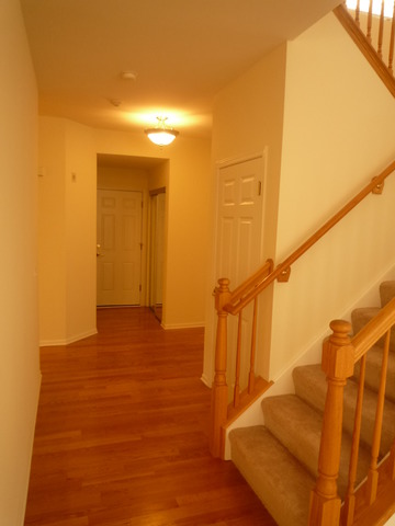 240 Ridge Road North Aurora, IL 60542 - Photo 5 of 22