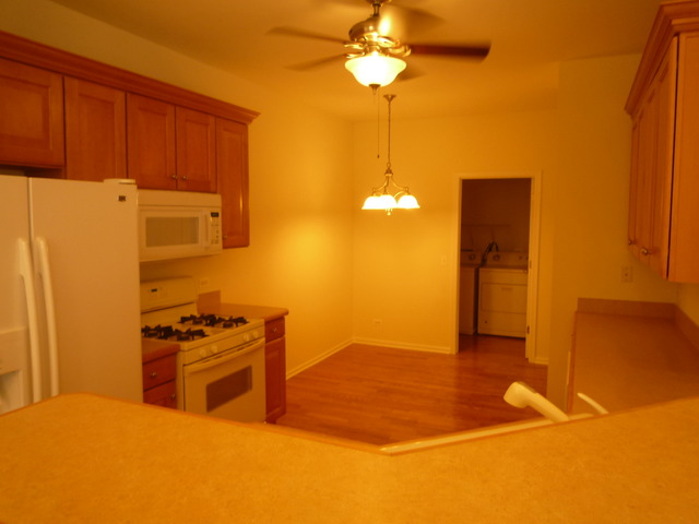 240 Ridge Road North Aurora, IL 60542 - Photo 8 of 22
