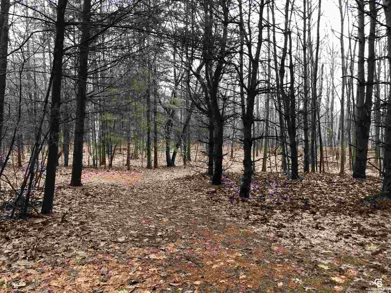 15312 West Burt Road Chesaning, MI 48616 - Photo 7 of 23 31340719-6.JPG
