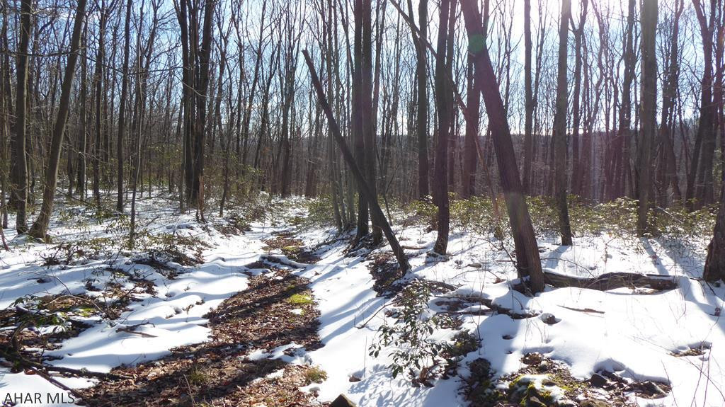 Off Leonard Road Alum Bank, PA 15521 - Photo 8 of 25 Gallery Image 8