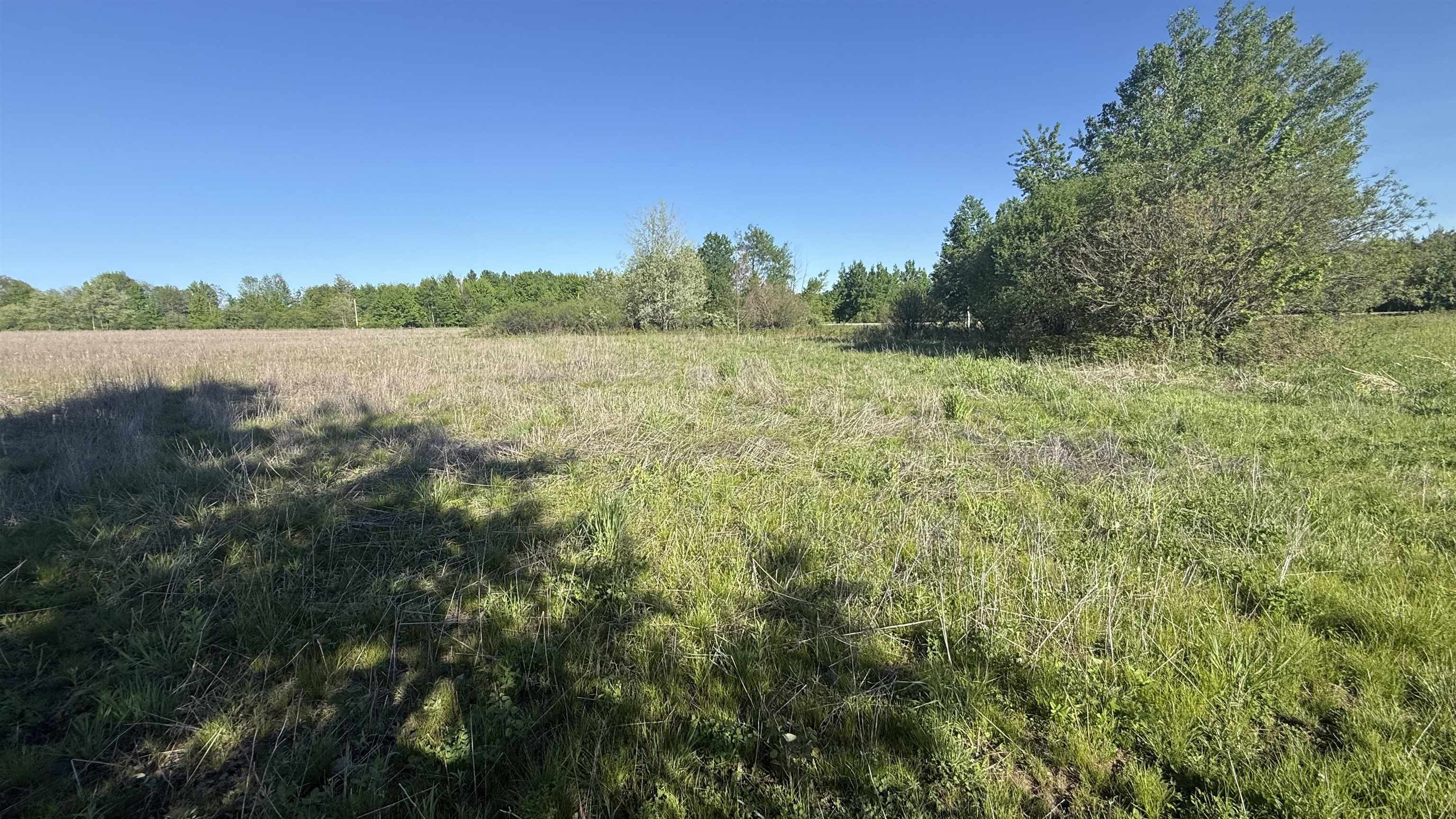 Lot 3 Eau Claire River Road Ringle, WI 54471 - Photo 14 of 28