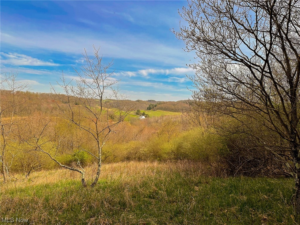4221 Wolf Road Port Washington, OH 43837 - Photo 33 of 35 Gallery Image 33