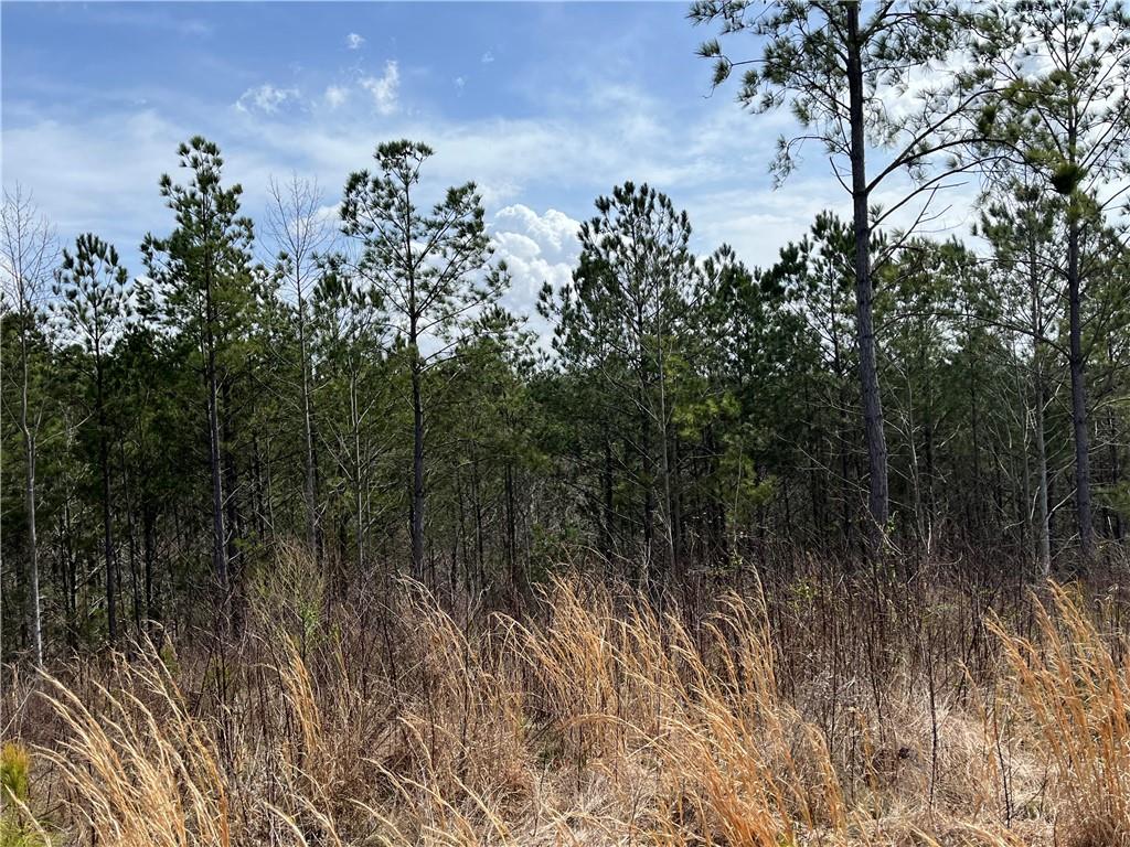 123 Blalock Mountain Road Talking Rock, GA 30175 - Photo 15 of 35 a view of a city