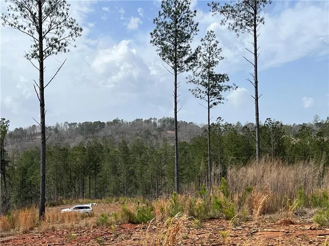 $175,000 | 123 Blalock Mountain Road, Talking Rock, GA 30175