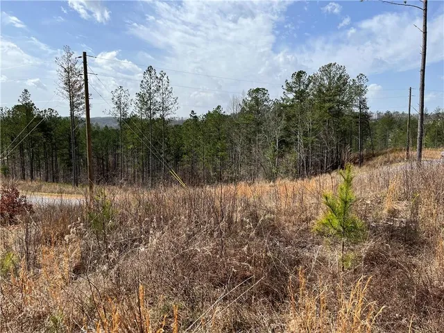 $175,000 | 123 Blalock Mountain Road, Talking Rock, GA 30175