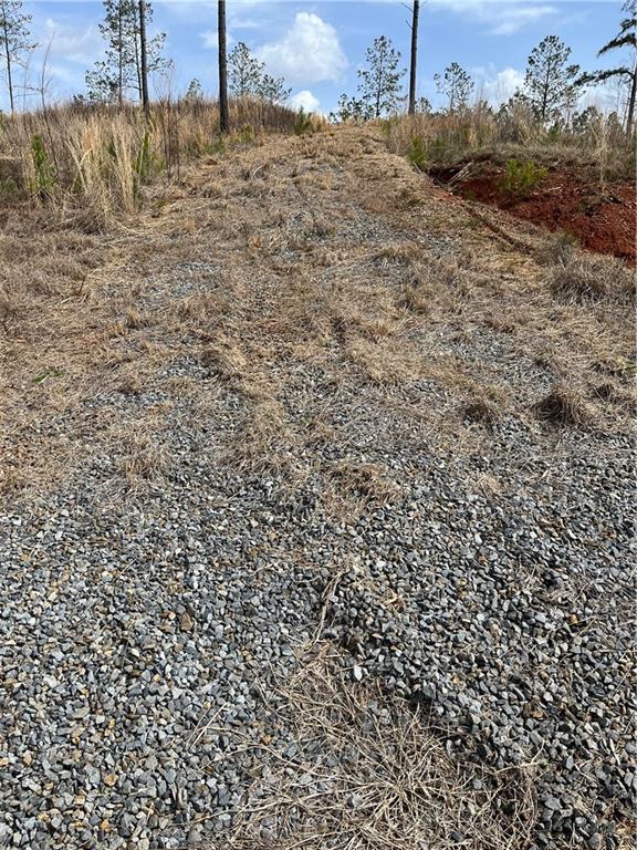 123 Blalock Mountain Road Talking Rock, GA 30175 - Photo 20 of 35 a view of a dry yard