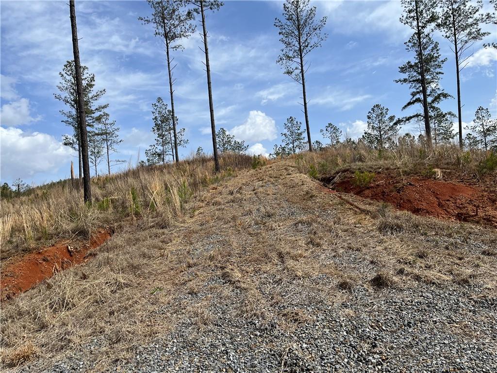 123 Blalock Mountain Road Talking Rock, GA 30175 - Photo 21 of 35 a view of a house with a yard