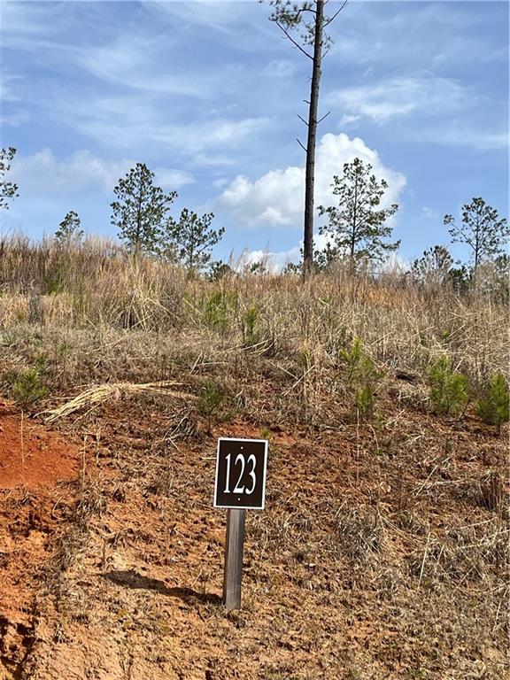 123 Blalock Mountain Road Talking Rock, GA 30175 - Photo 22 of 35 a view of a street with a building in the background