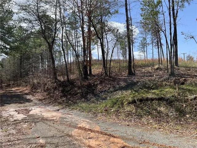 $175,000 | 123 Blalock Mountain Road, Talking Rock, GA 30175