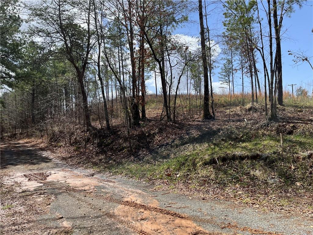 123 Blalock Mountain Road Talking Rock, GA 30175 - Photo 25 of 35 a view of backyard with green space