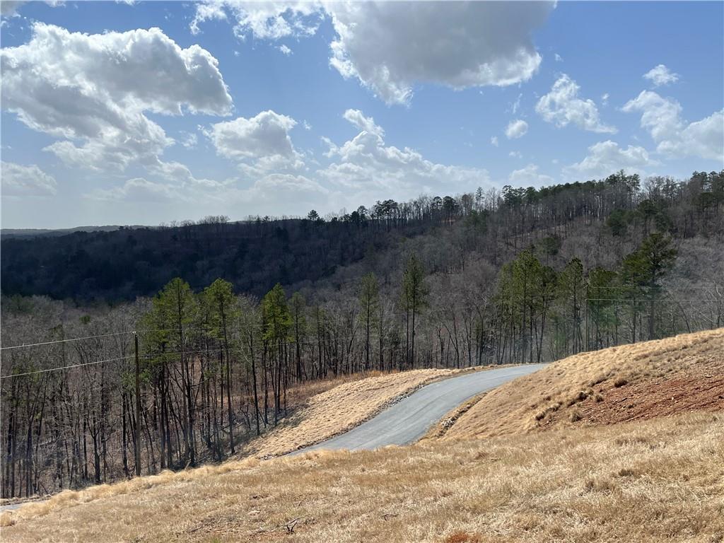 123 Blalock Mountain Road Talking Rock, GA 30175 - Photo 26 of 35 a view of a backyard of a house