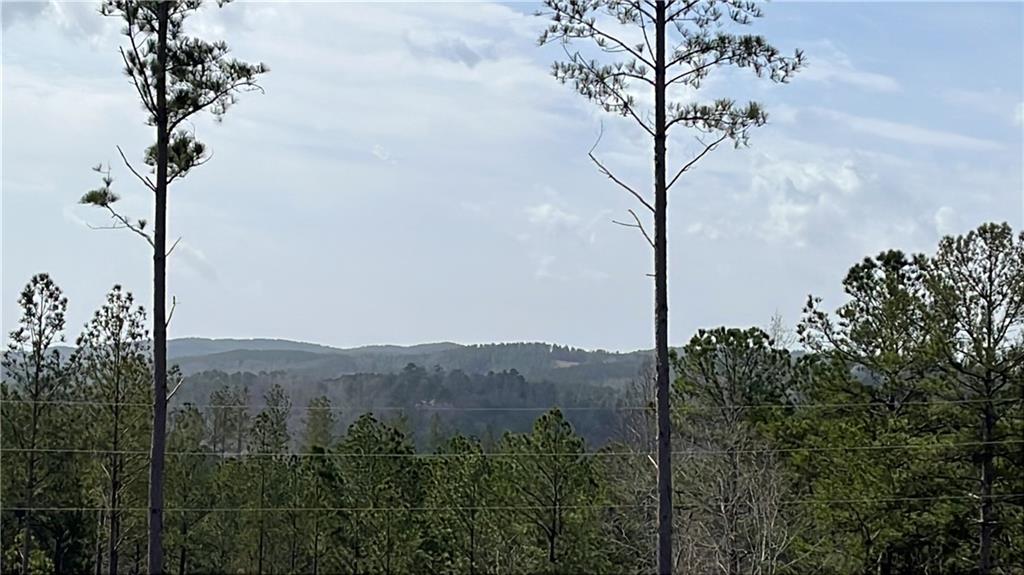 123 Blalock Mountain Road Talking Rock, GA 30175 - Photo 3 of 35 a view of a tree in the middle of a forest