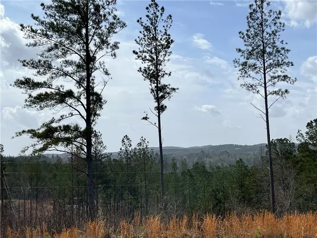 $175,000 | 123 Blalock Mountain Road, Talking Rock, GA 30175