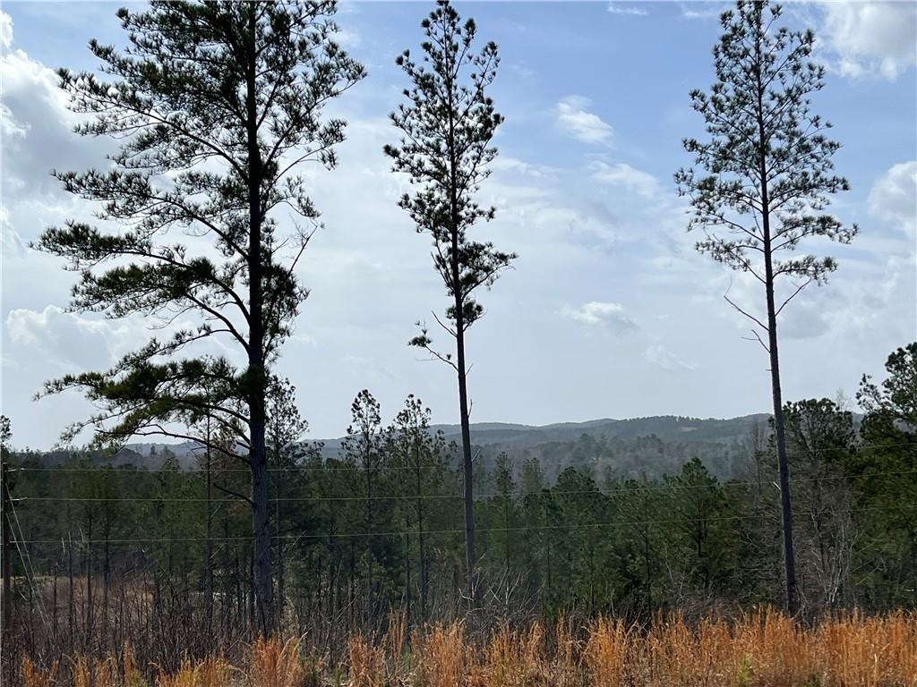 123 Blalock Mountain Road Talking Rock, GA 30175 - Photo 4 of 35 a view of a lake with mountain in the background