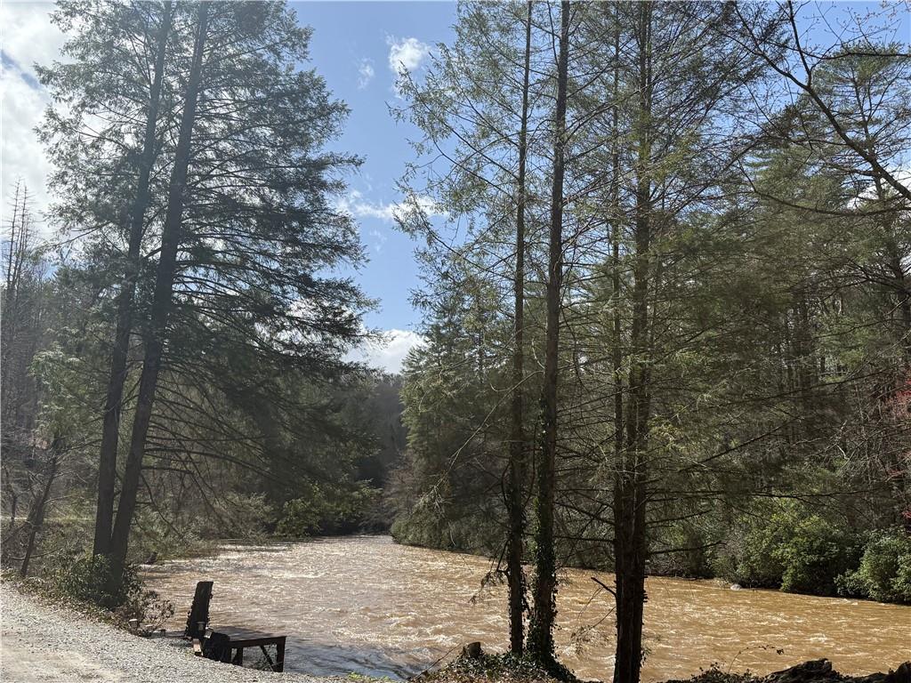 123 Blalock Mountain Road Talking Rock, GA 30175 - Photo 7 of 35 a view of a forest filled with trees