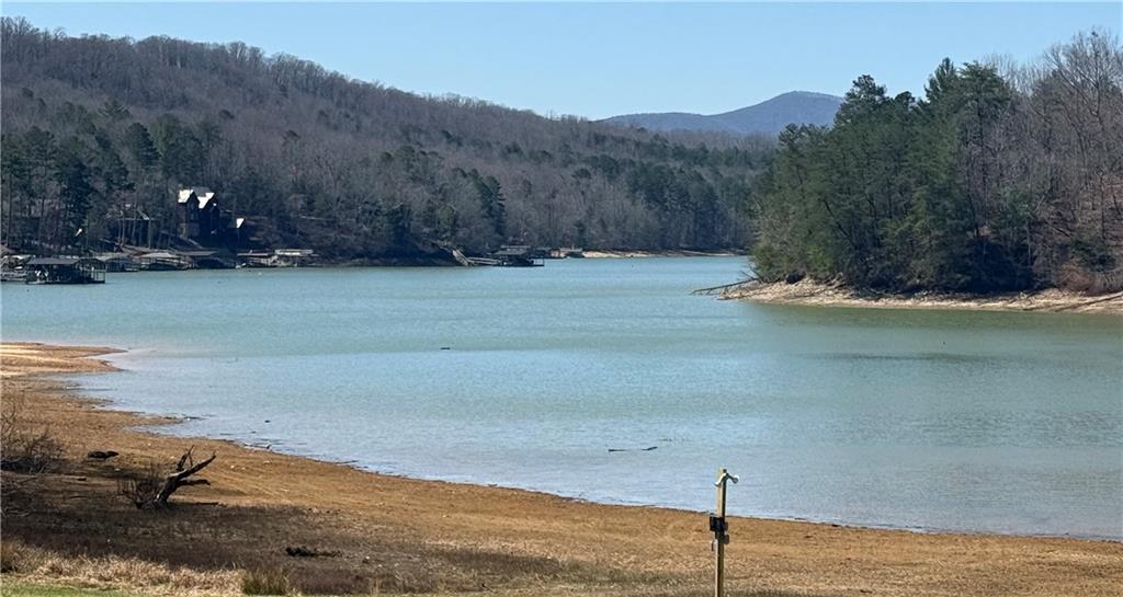 123 Blalock Mountain Road Talking Rock, GA 30175 - Photo 9 of 35 a view of a backyard