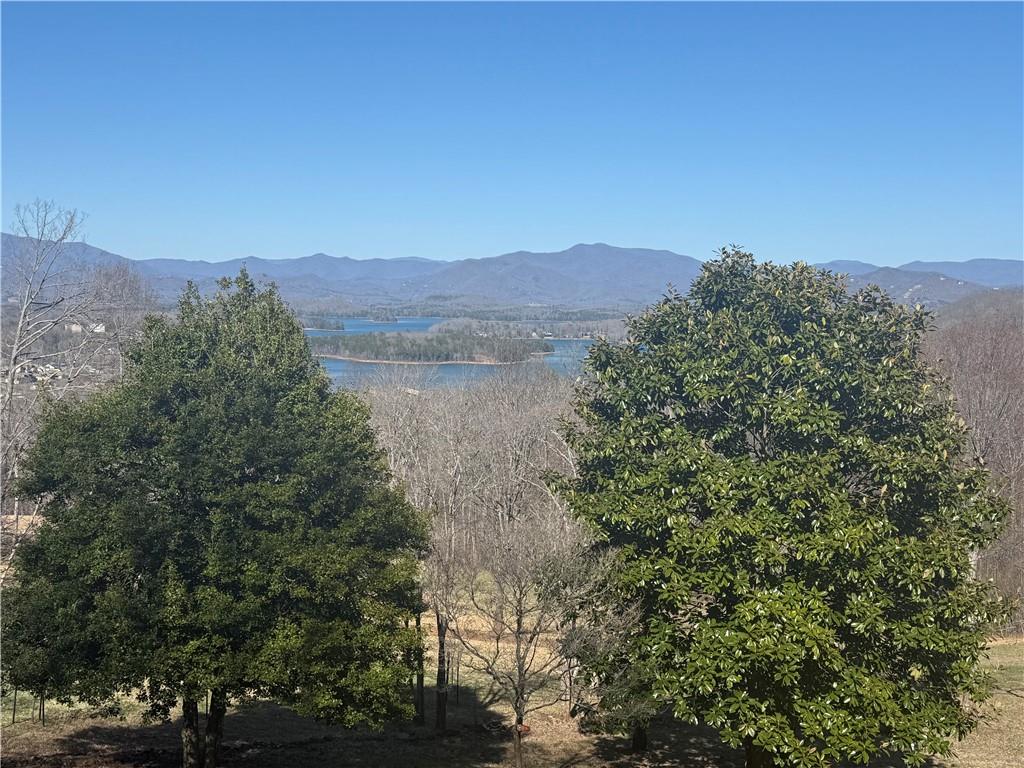 123 Blalock Mountain Road Talking Rock, GA 30175 - Photo 10 of 35 a view of lake with mountain