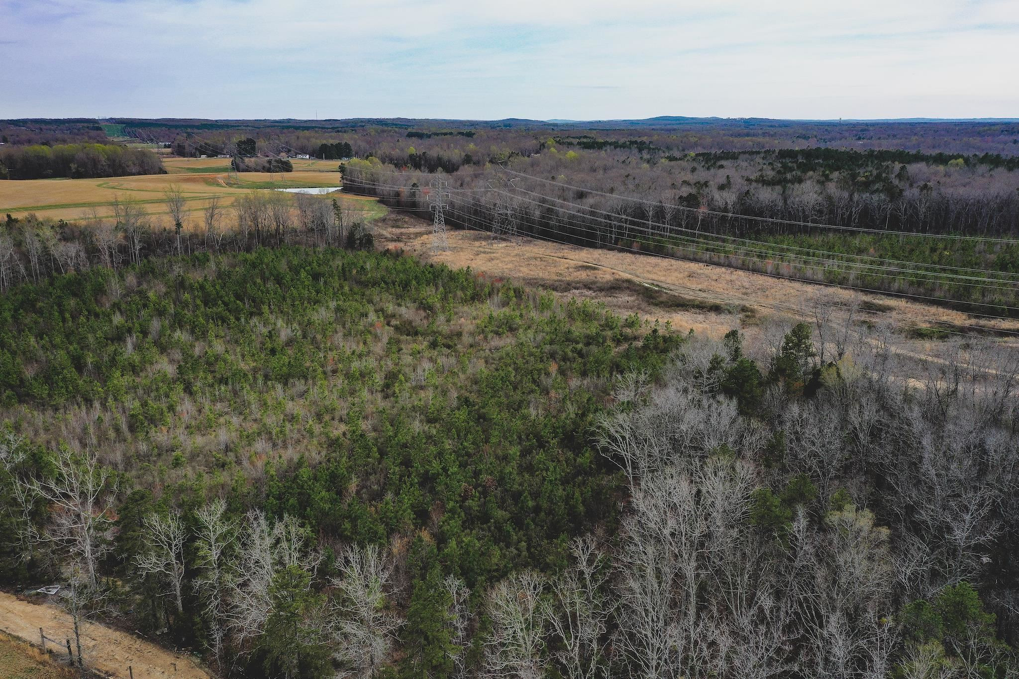 103-ac Pulliam-Tingen Mine Road Roxboro, NC 27574 - Photo 14 of 30 Photo 14