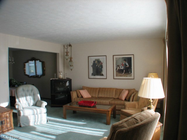 4637 Turney Road Madison, OH 44057 - Photo 2 of 18