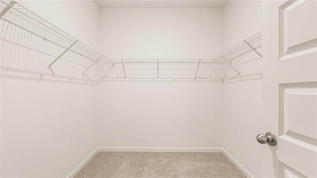 339 Friendship Oak Way Hampton, GA 30228 - Photo 20 of 29