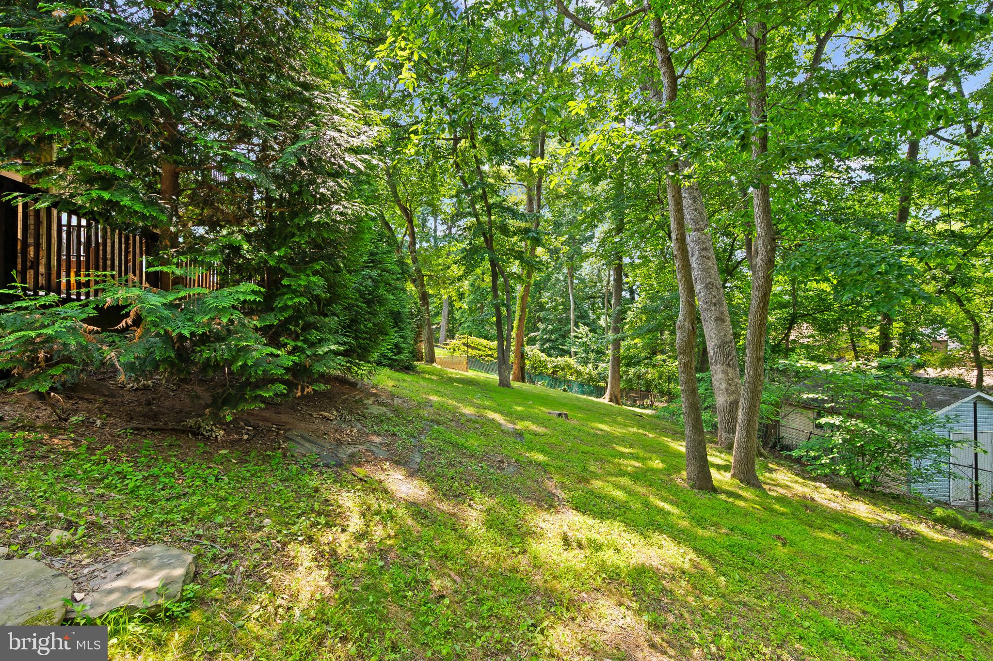 15016 Wellwood Road Silver Spring, MD 20905 - Photo 41 of 52 a view of outdoor space and yard