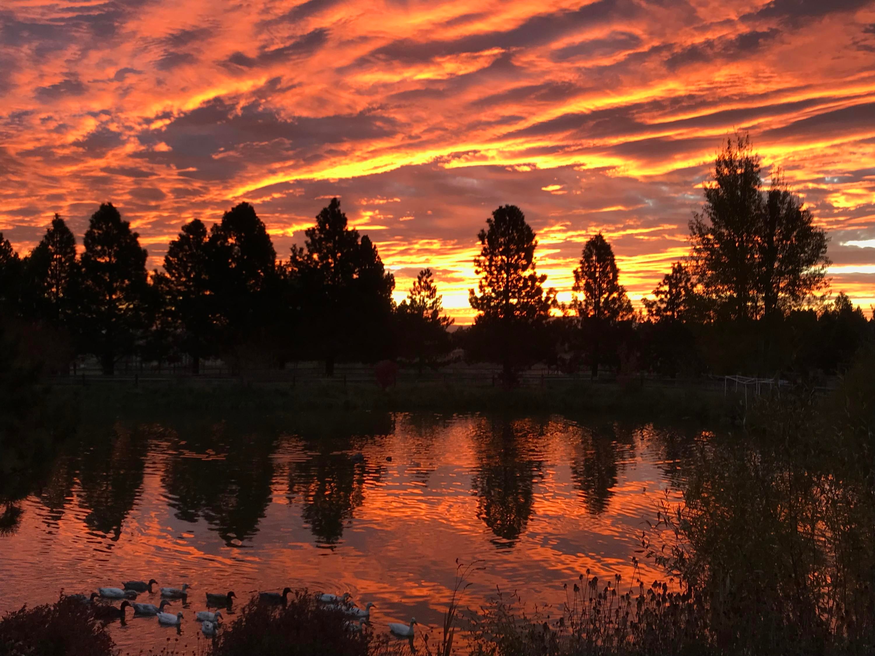 61255 Ward Road Bend, OR 97702 - Photo 51 of 63 Beautiful Sunrise!