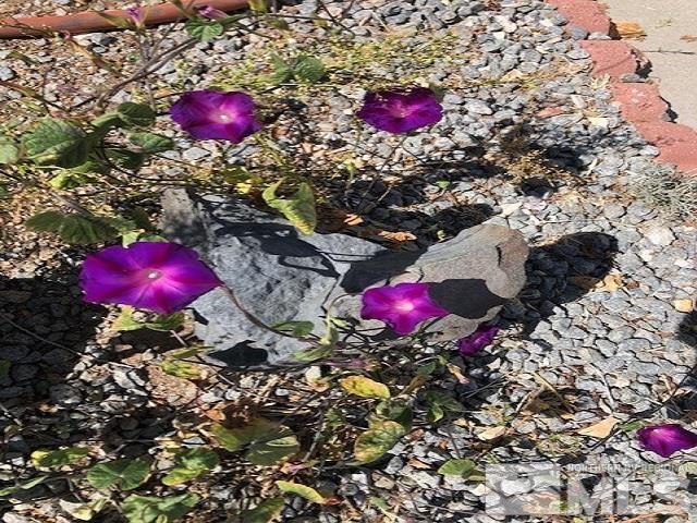 490 Capricorn Circle Reno, NV 89521 - Photo 26 of 26 a view of a wooden floor and a fire pit