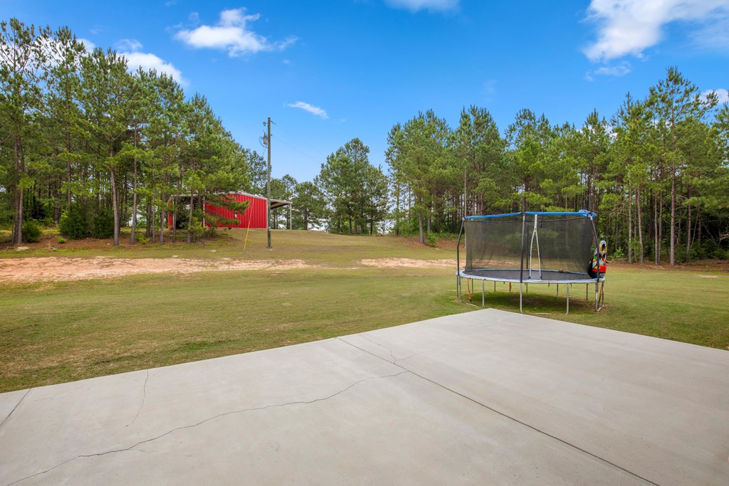 240 Cedar Springs Road Ashford, AL 36312 - Photo 64 of 71