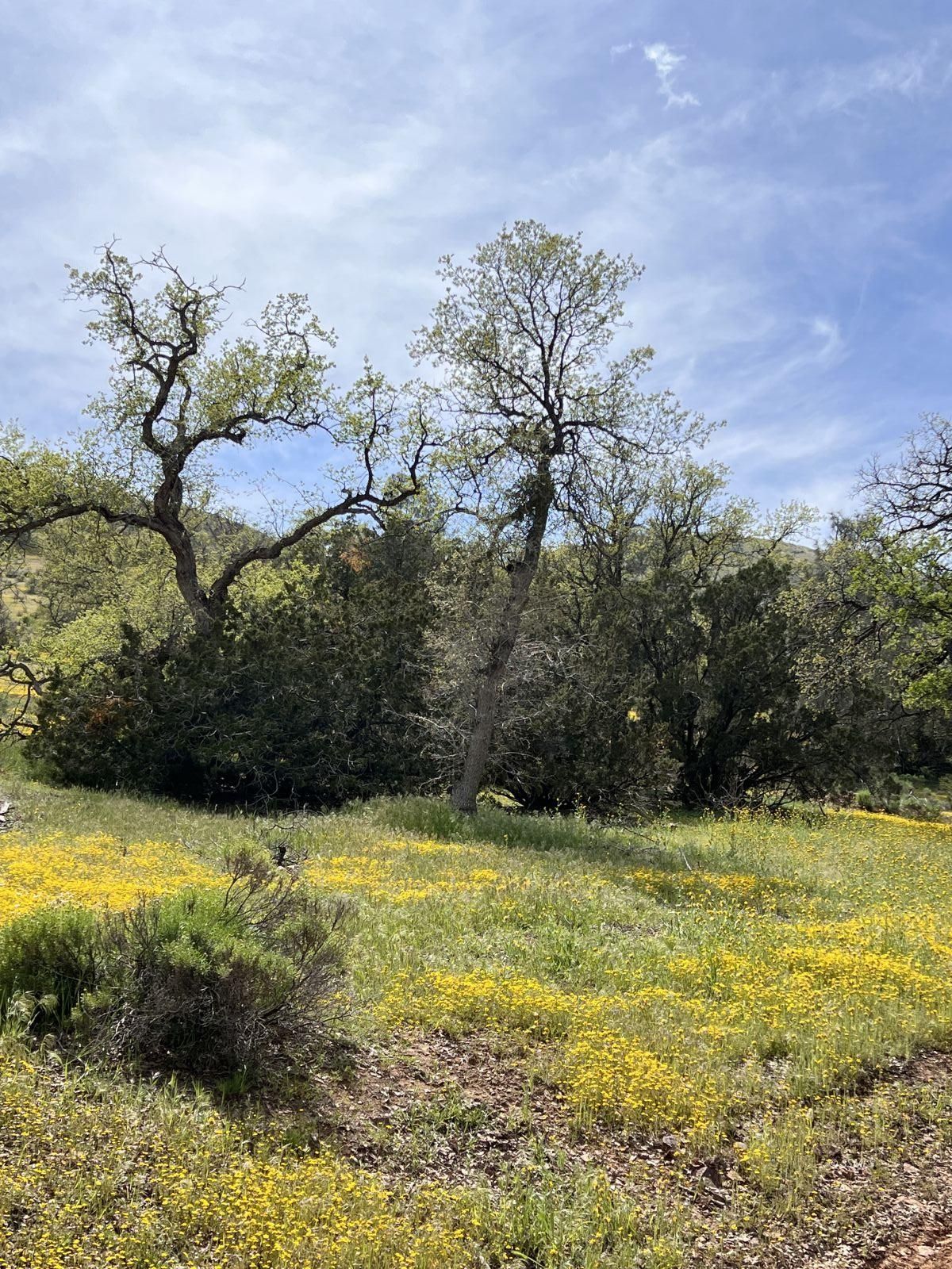 Hughes Rd Lake Bodfish, CA 93205 - Photo 1 of 19 Gallery Image 1